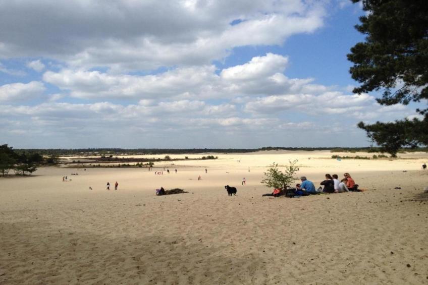 Recreatiepark Duinhoeve 3 - foto 39