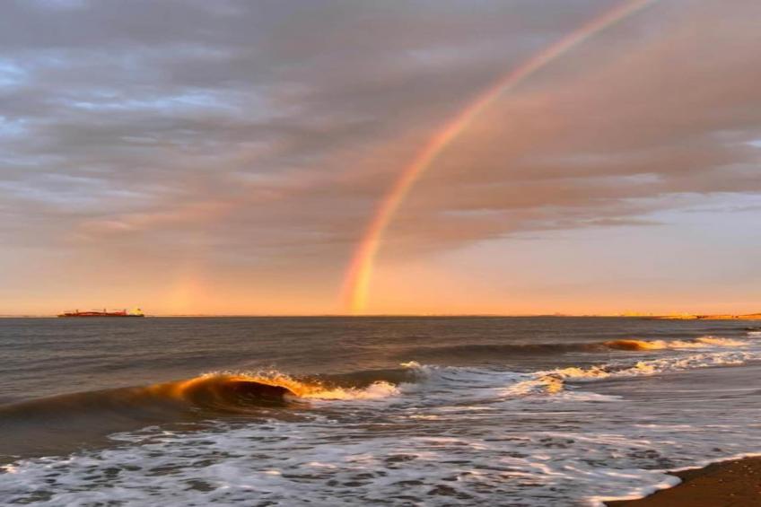 Beach Resort Nieuwvliet-Bad 16 - foto 37