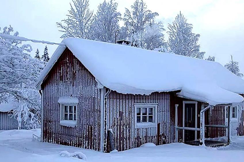 am Wald mit Kaminofen und Veranda - foto 7