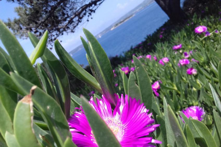 Haus am Meer Šolta - foto 82