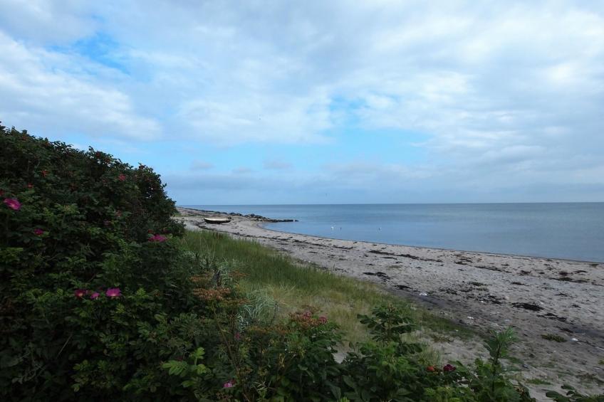 "Amy" - 150m from the sea in Funen - foto 28