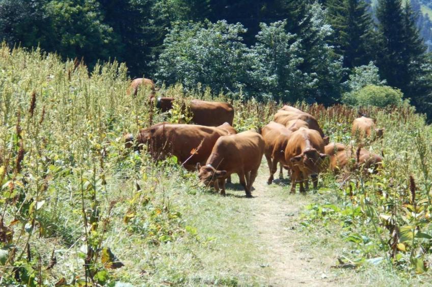 Arcades N°48 - ST3 - foto 16