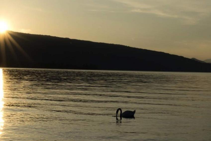 Appartements à Duingt - foto 29