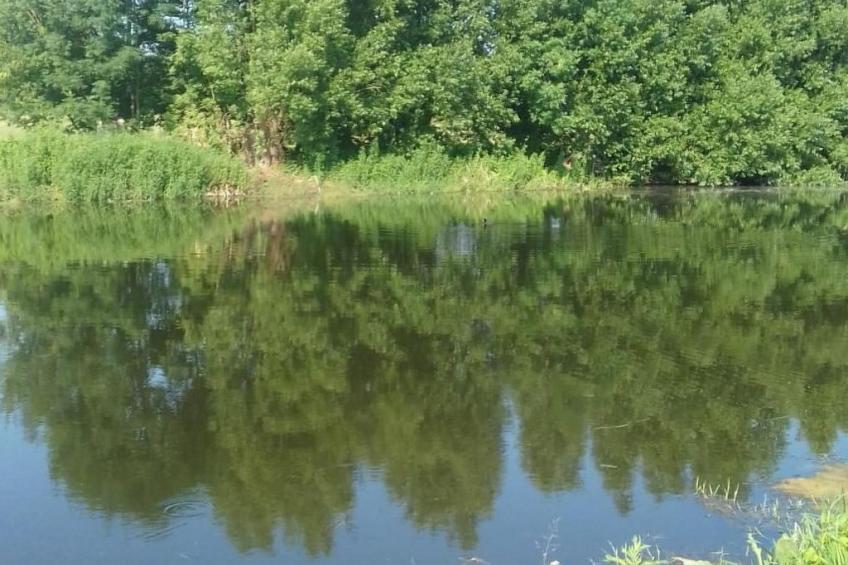 Blockhaus mit eigenem See - foto 11