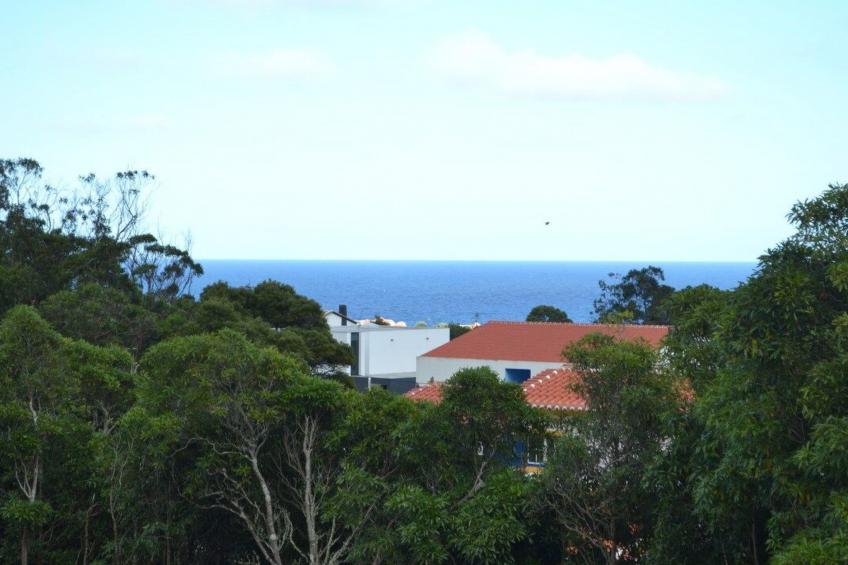 Das Haus der Weinkellerei - foto 22