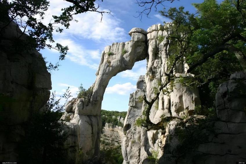 Coccinelles - foto 25