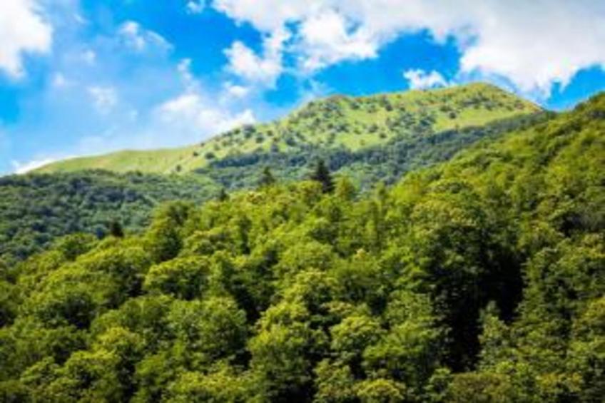 Casa Arena - foto 32