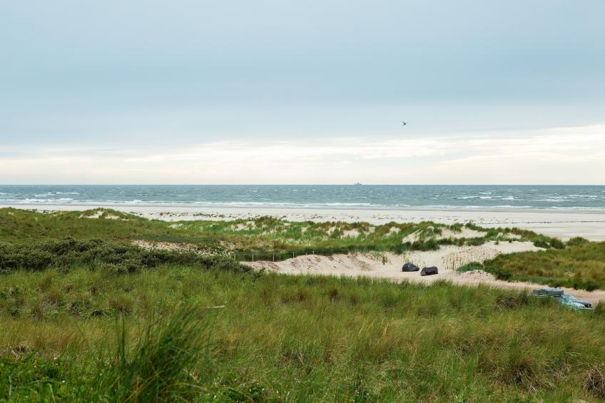 De Koog nr 6 - 6 pers woning de luxe - foto 24