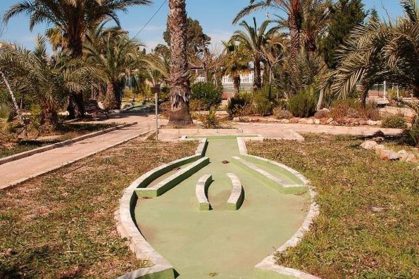 Violeta 17 - foto 142