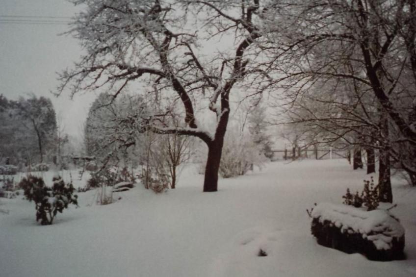 in Bernsfeld mit großem Garten - foto 26