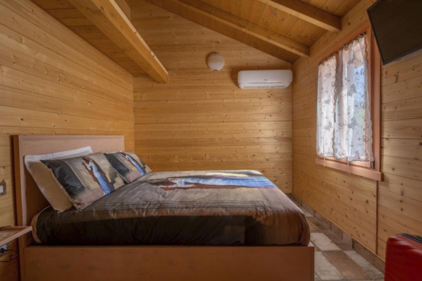 'Vindemia la salmon - foto 12