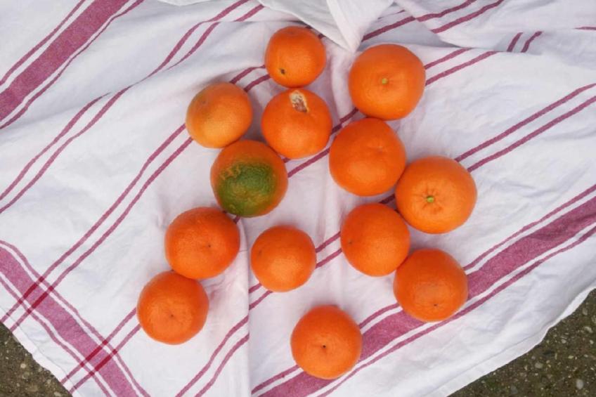 Locations-06 - Die Eugenie - foto 22