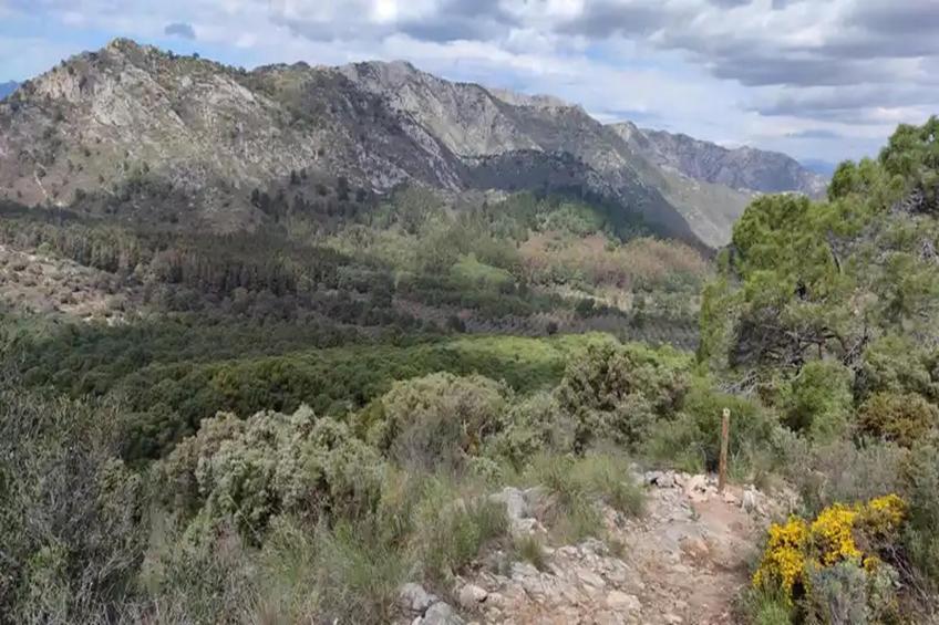 El Bosque de la Mairena - foto 27