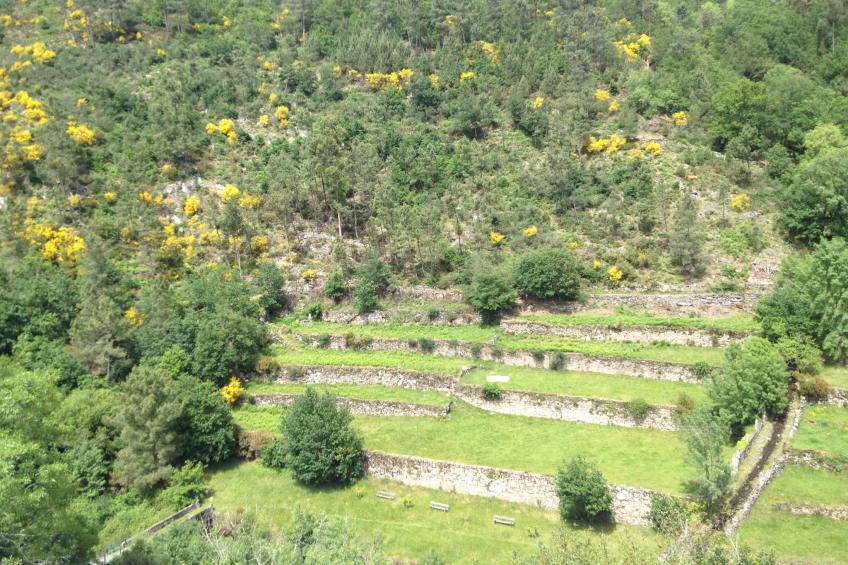 "Großmutters Häuschen" mit überdachter Terrasse - foto 37
