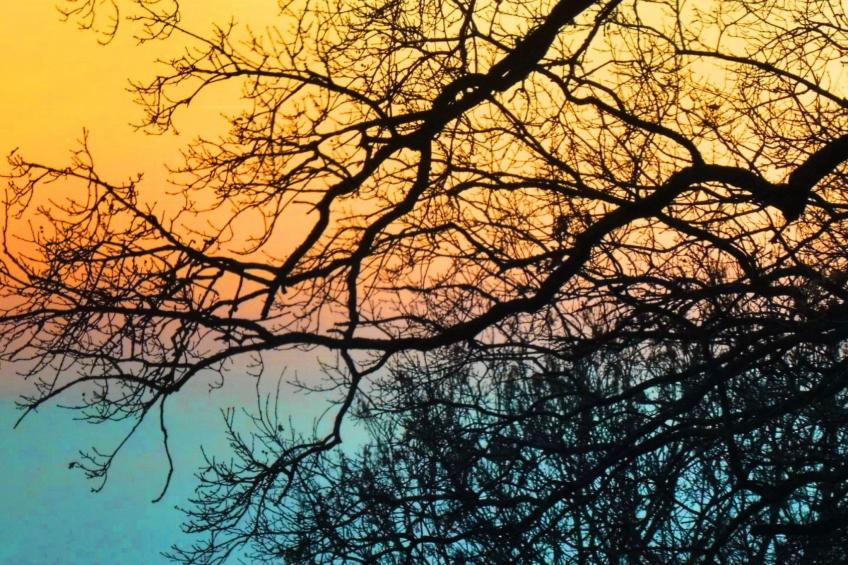 Chalet Wiedfluh in Waldbreitbach - foto 38