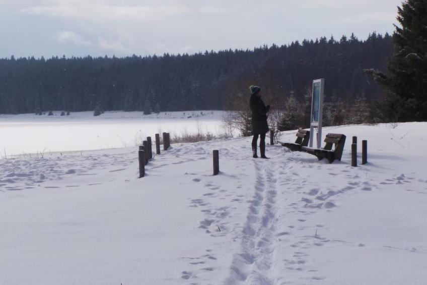 Fewo "Am Skihang OG" - foto 20