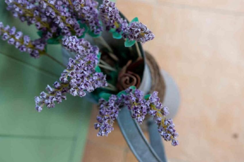 Appartement in Le Bar-Sur-Loup mit Eigenem Garten - foto 14