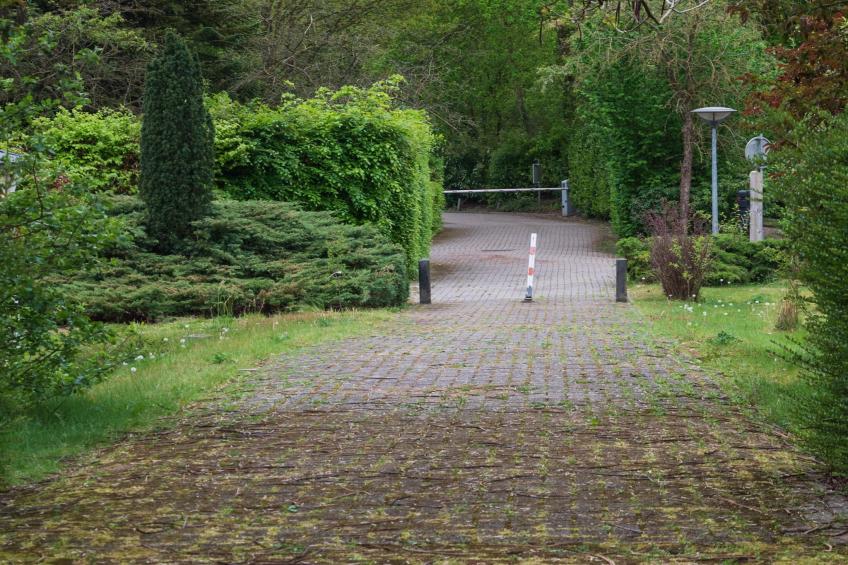 Vakantie home Coevorderweg - foto 38