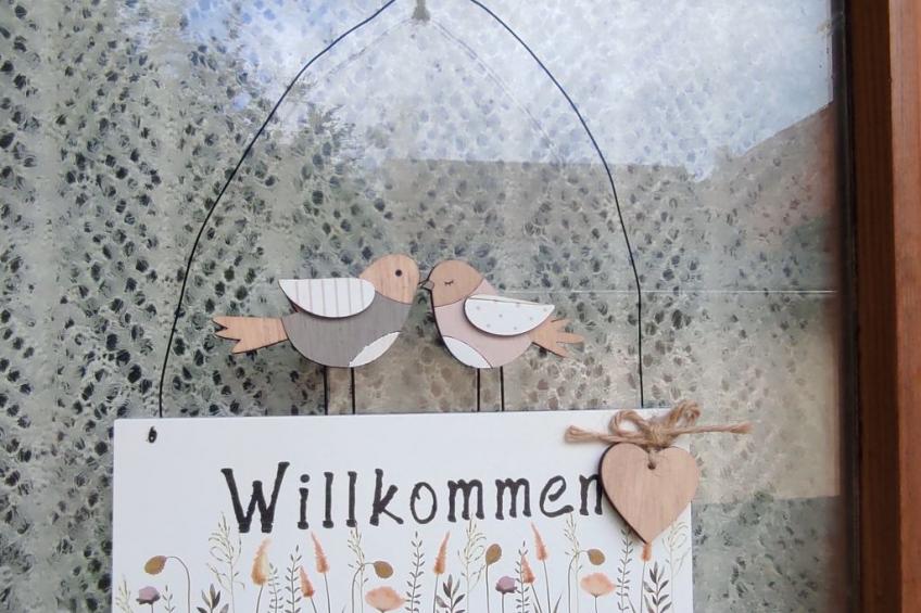 in Breitenstein mit Grill und Garten - foto 4