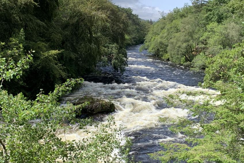 Pine Needle Lodge - foto 23