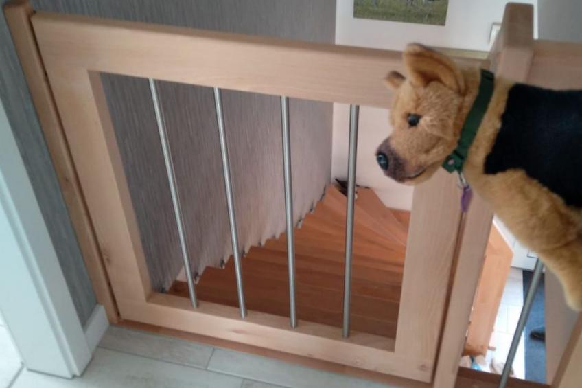 in Mellnitz mit Großem Garten - foto 34