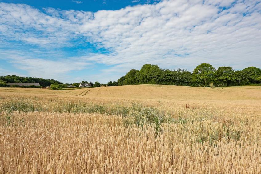 "Edithe" - 250m from the sea in SE Jutland - foto 3