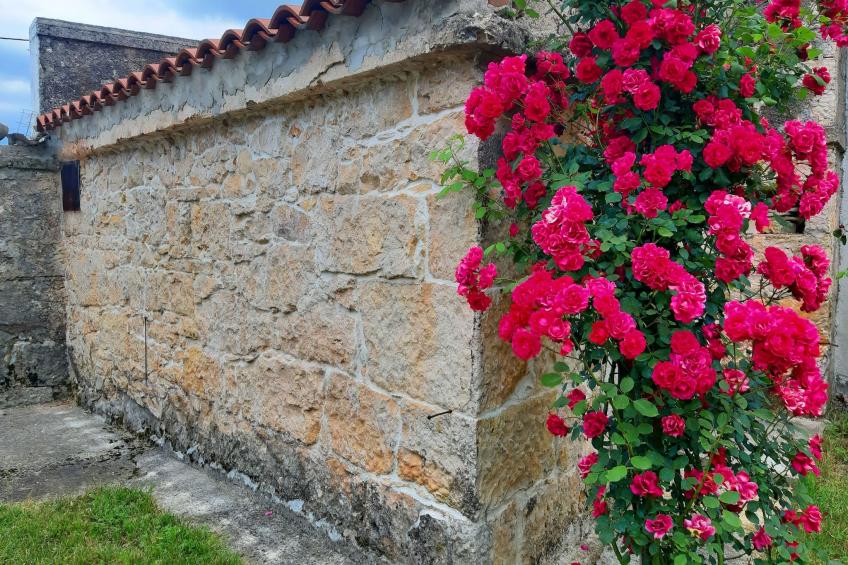 Romantische Villa mit weitläufigem Garten - foto 18