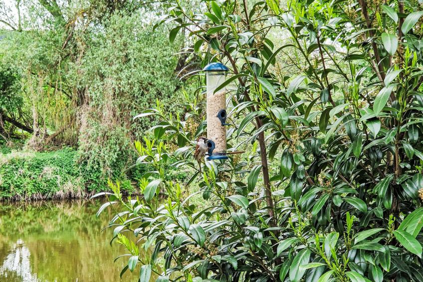 Tiny Haus Eckert - foto 22