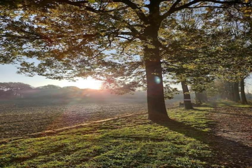 Sylvies lodge - foto 25