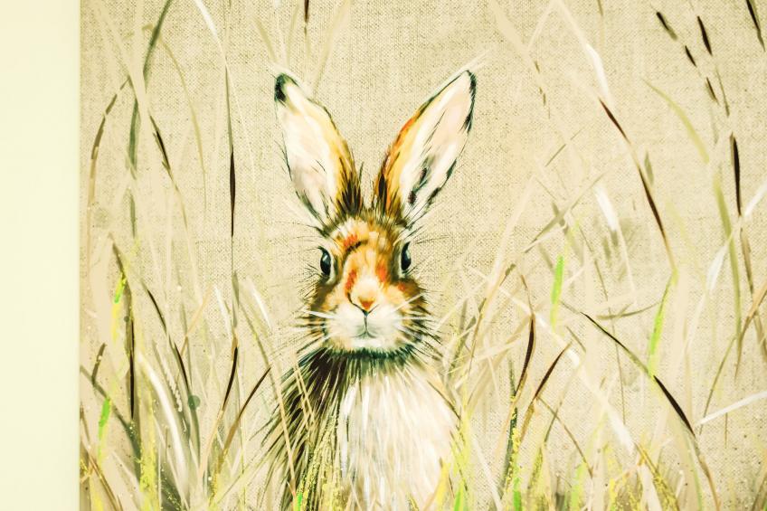 Frobost Lodge - foto 10