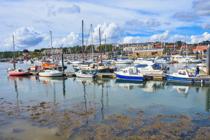 Ukulele Studio - foto 5