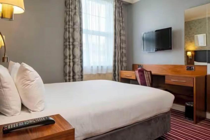 Standard King Room - foto 18