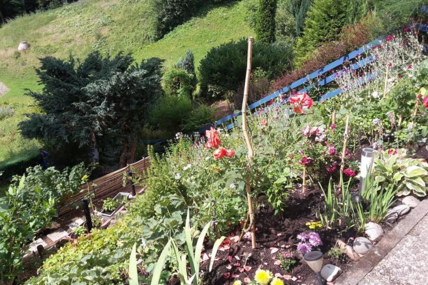 Haus Wiesental - foto 8