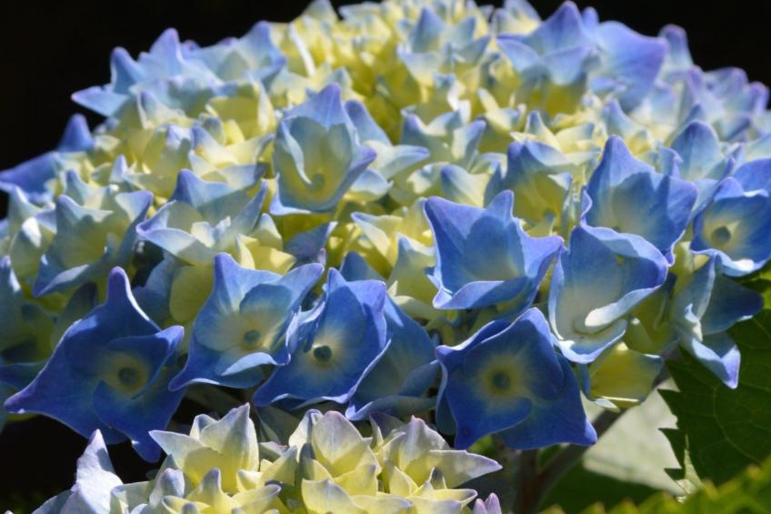 Ferienhaus - foto 29