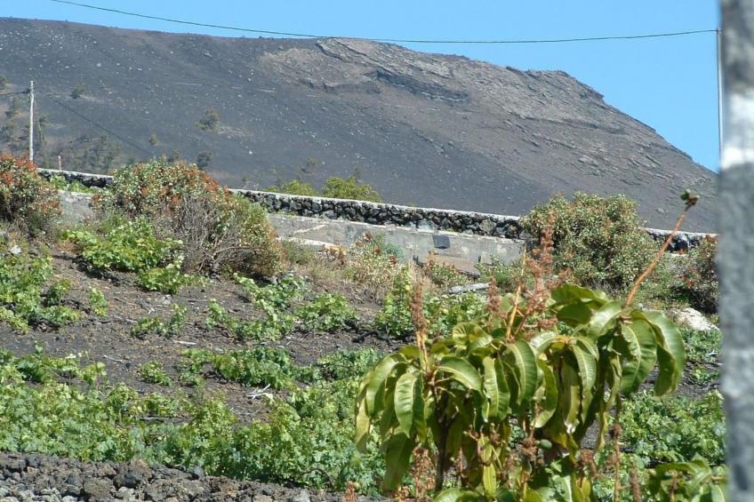 "Las Viñas" mit Wasserblick - foto 26