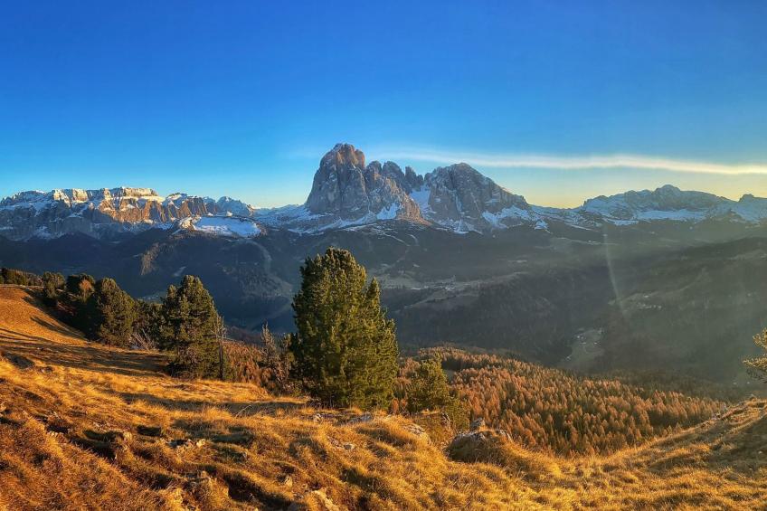 Cesa Vedla DOLOMITES - foto 46