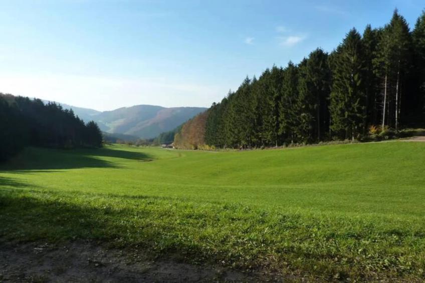 Am Stulzenhof - foto 26