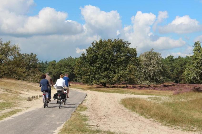 Recreatiepark Duinhoeve 12 - foto 35