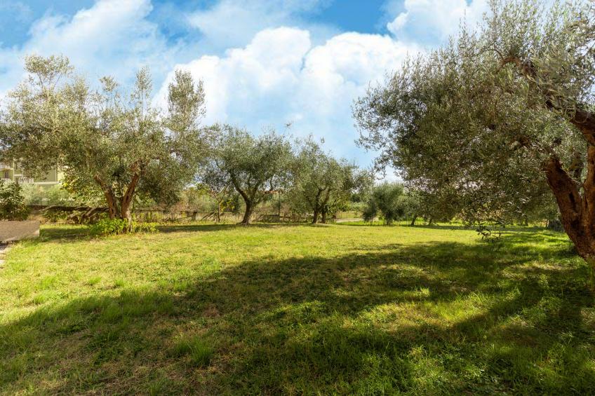 Casa Tommaso - trilo 1 P - 6 pax - foto 29