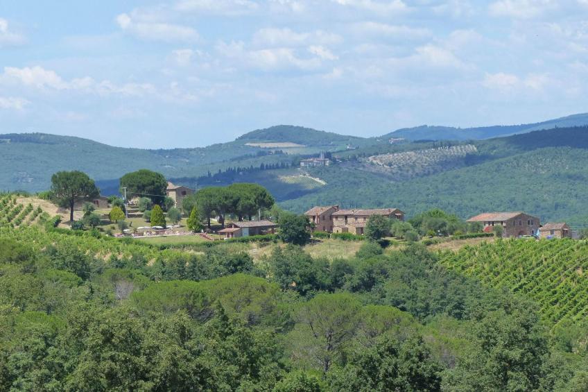 Schloss Selvole T6 - foto 29