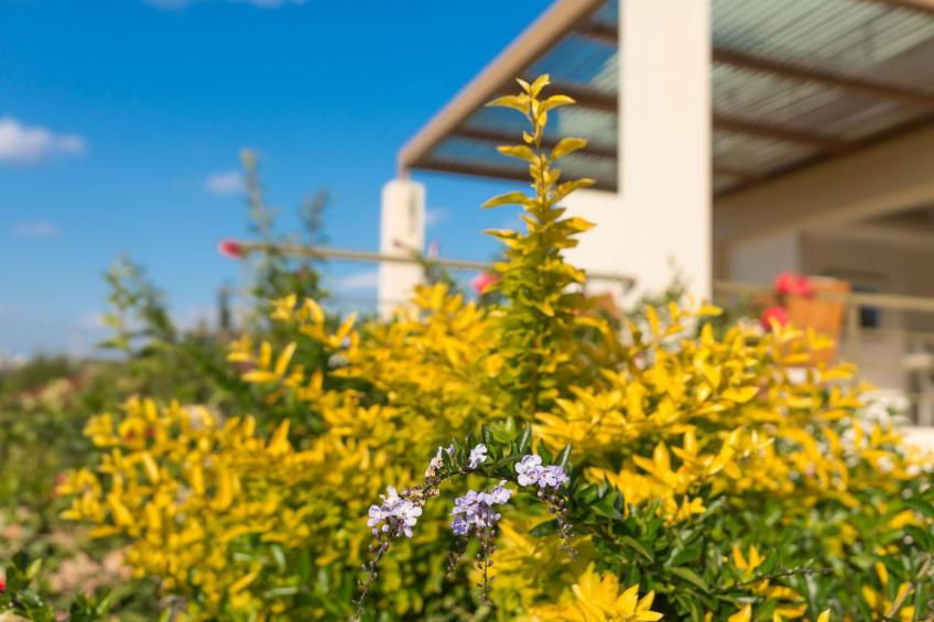 Ferienvilla auf einem privaten und sicheren Grundstück - foto 35