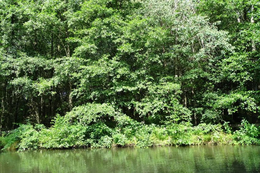 Haus Victoria - foto 19