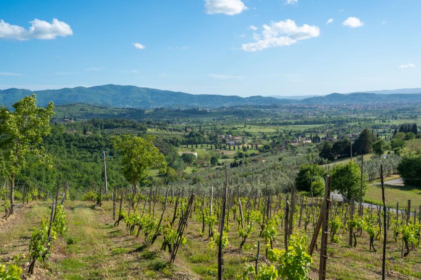 Podere Il Castello (ARZ120) - foto 47