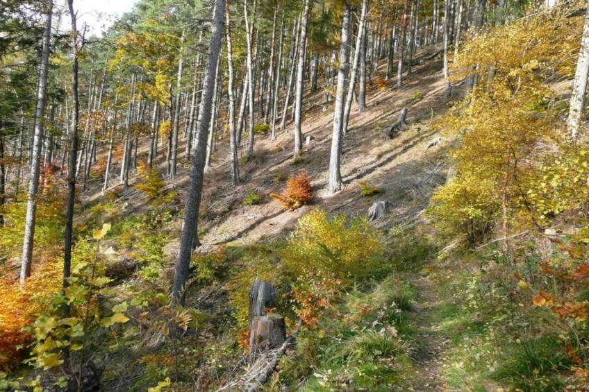 Ferienwohnung Apelt - foto 21