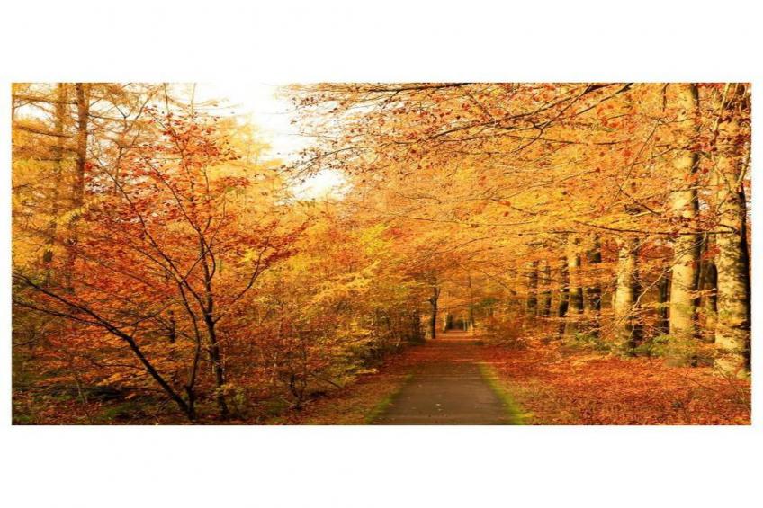 RCN de Jagerstee 3 - foto 30