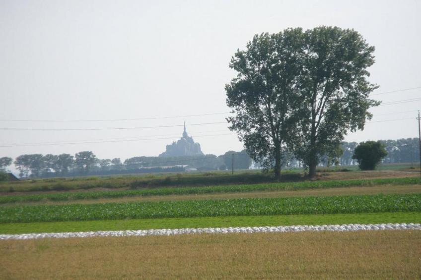 Le Domaine du Mont - foto 19