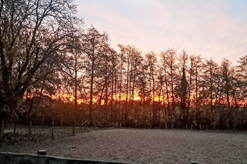 Schlönis Koppelblick - foto 34