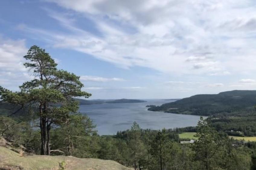 Solbacken Cottage und Lodge - foto 40