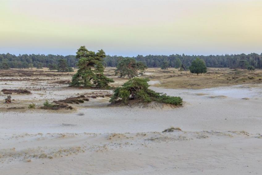 Veluwe hoeve 4 people sauna - foto 23