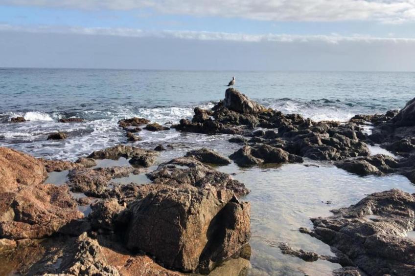 CAMPING INTERPALS- Bungalow Sa Riera - foto 26